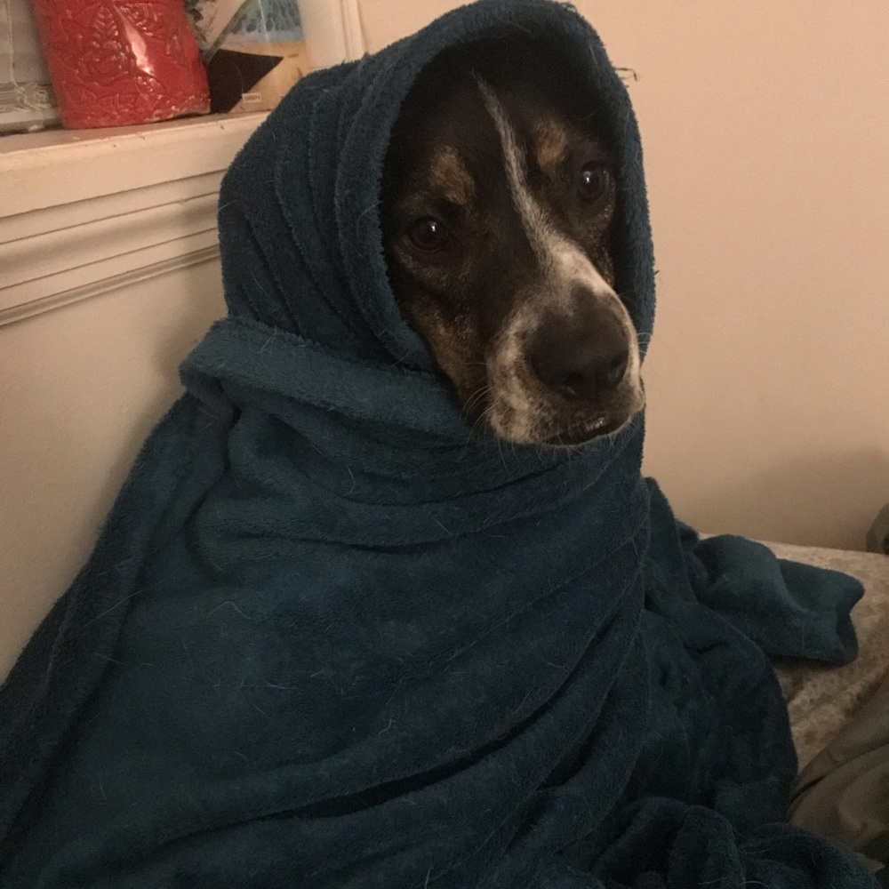 Meet your Posher, Rachel